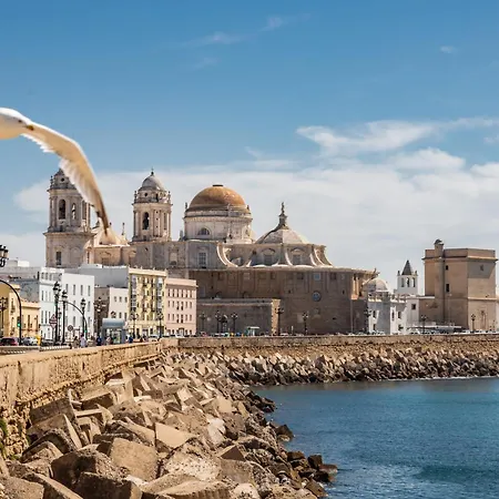 Estudio Palma By Livework * Cadice