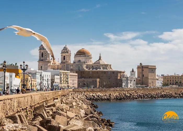 Estudio Palma By Livework * Cádiz