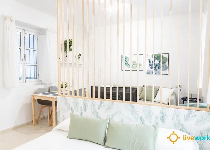 Estudio Palma By Livework